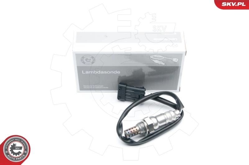 Oxygen Sensor